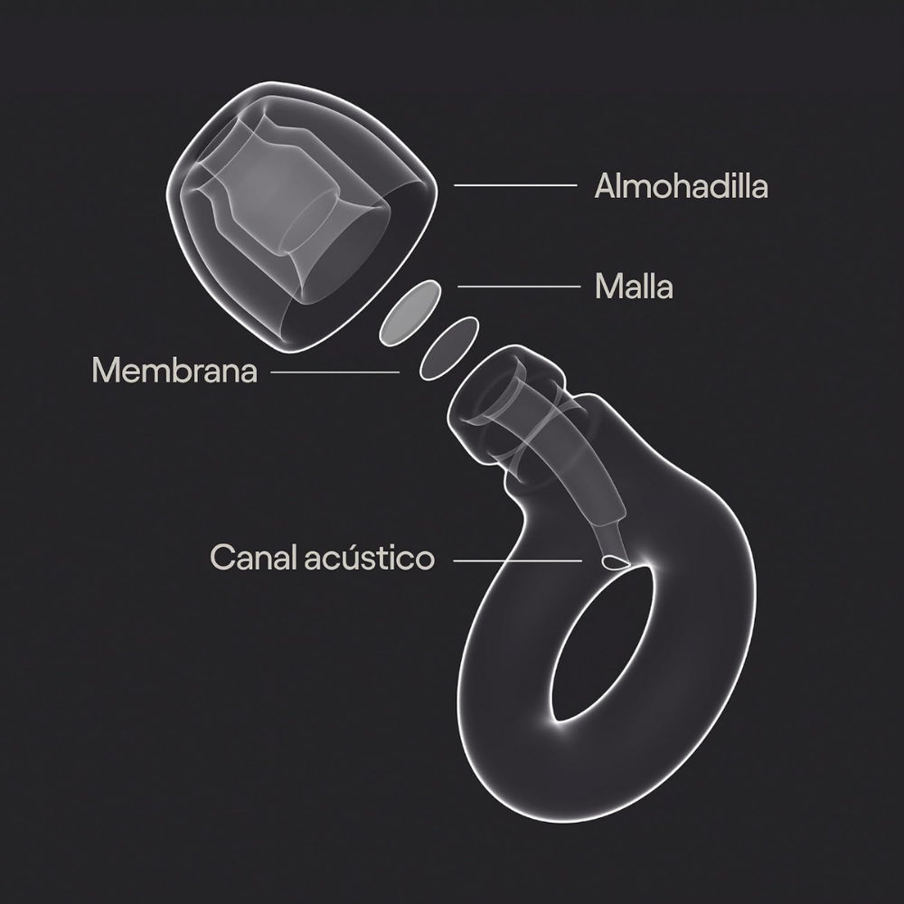 Loop EarPlugs 2.0